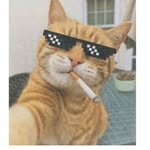 anshu_919_3 profile picture