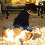 anshulkhazsinha profile picture