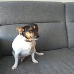 ansvanderpas profile picture