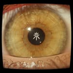 anthemlimited profile picture