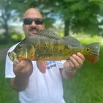 anthonypalau16 profile picture