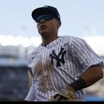 anthonyvolpe profile picture