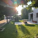 antiopi.c profile picture