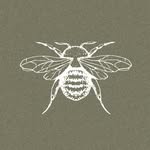 antiqua.store profile picture