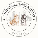 antisocialshibas.cdmx profile picture