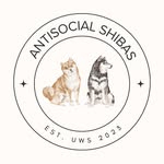 antisocialshibas profile picture