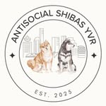 antisocialshibas.yvr profile picture
