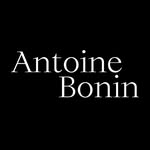 antoineboninstudio profile picture
