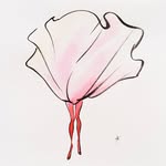 antoine_kruk profile picture