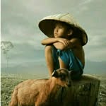 anton95785 profile picture
