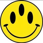 antoniofrangie profile picture
