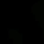 anton_naidenov1 profile picture