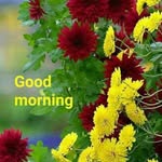 anuayushadhav profile picture