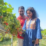 anu__basil profile picture