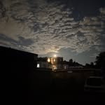 anubhav_anandd profile picture