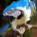 anuprevankar12 profile picture