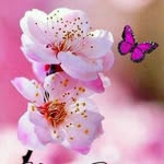 anup_unni566 profile picture