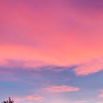 anusha_naras profile picture
