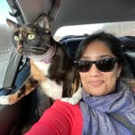 anushilashaw profile picture