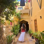 anushka.jatav profile picture