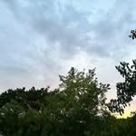anushka__5216_ profile picture