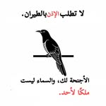 anwer99911 profile picture