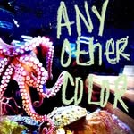 any.other.color profile picture