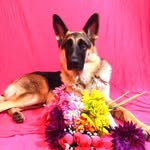 anyathegsd profile picture