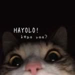 anyeongasheoo_ profile picture