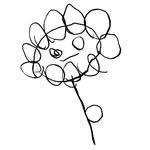 anyother.name profile picture