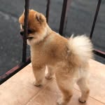 aoao_bua profile picture