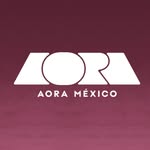 aoramakeup profile picture