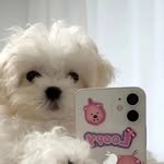 aoxue__fan profile picture