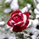 apak_kadir_ profile picture