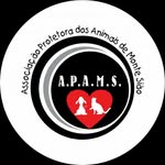 apams.montesiao profile picture