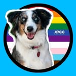 apccvet profile picture