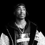 apdi_weli_ profile picture