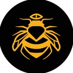apiculae profile picture
