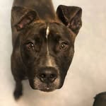 apollositstay profile picture