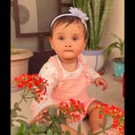 appa_ki_bhatura profile picture