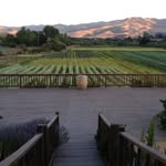 applecreekranch profile picture