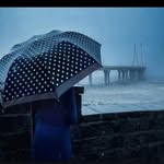 appu__23 profile picture