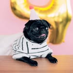 apugcallednala profile picture