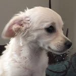 apupnamedzoey profile picture