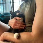apussnamedkitty profile picture
