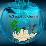 aquatic_3708 profile picture