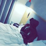 arabboy7300 profile picture