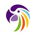 arajetairlines profile picture