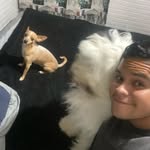 arath.palacioss profile picture