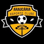 araucariaec profile picture